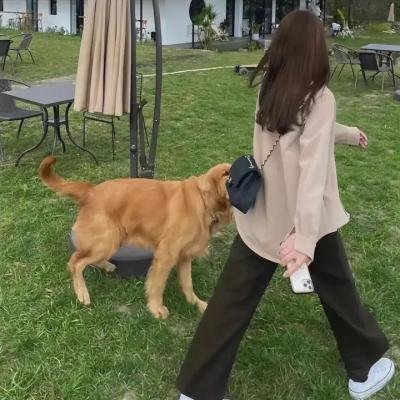 破阵